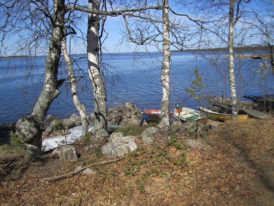 Hieno järvi maisema!