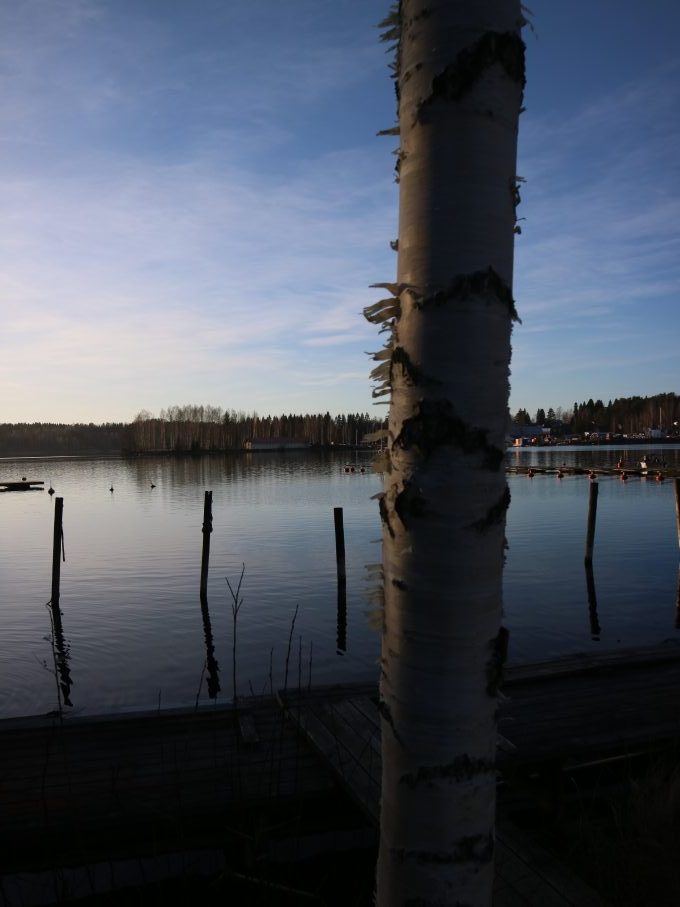 Maisema koivun takana.