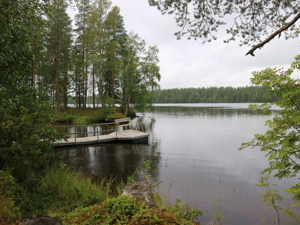 Harmaa maisema järven suuntaan.