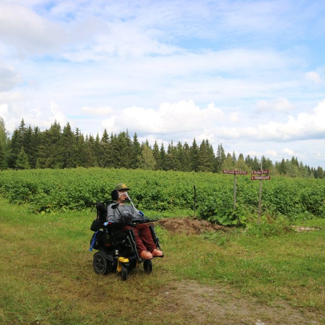 Ihmettelen marjapensaiden määrää.