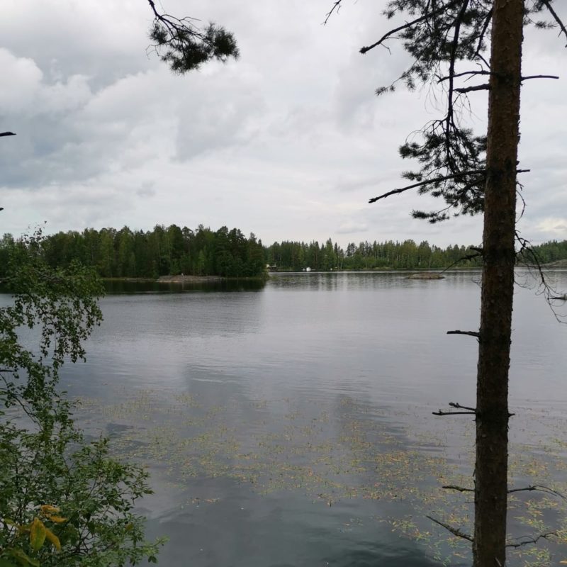 Harmaan päivän Saimaa on myös upea näky.