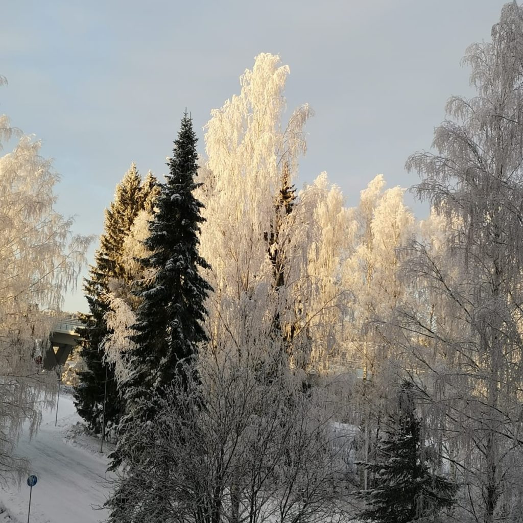 Seitsemän kerroksisen talon piha.