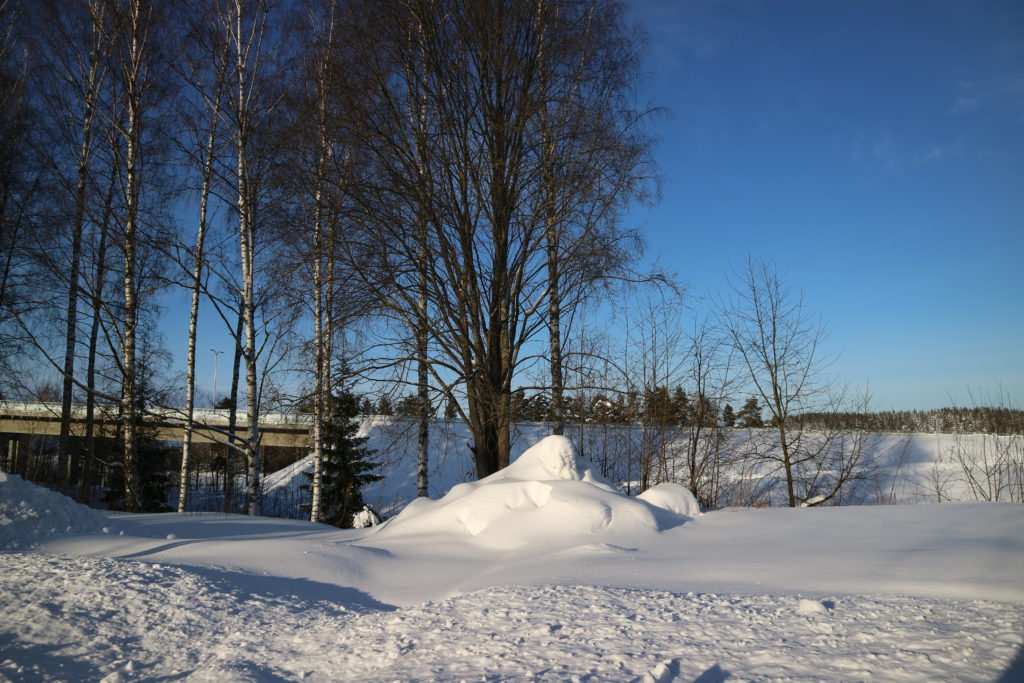 Lunta on satanut tänä talvena hurjasti.