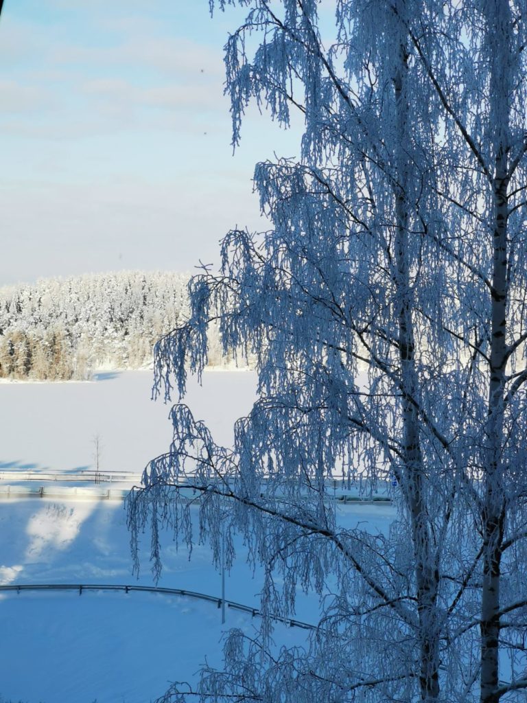 Puut muuttuivat pakkasessa todella upean näköiseksi.