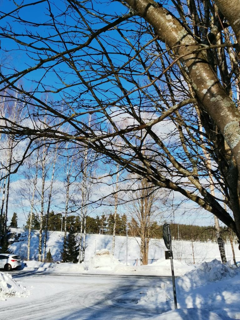 Aurinkoinen päivä piristää mieltä mukavasti.