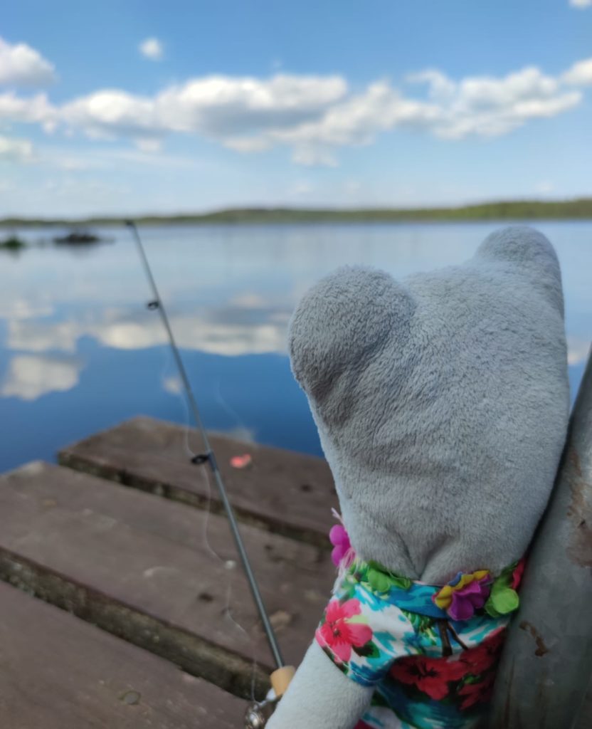 Esteetön huvila  sai myös Topin innostumaan.