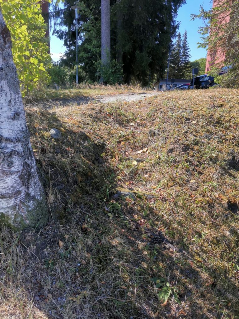 Pihahommia aloitettiin kaivamalla esiin ammaleen seasta kiviportaat.