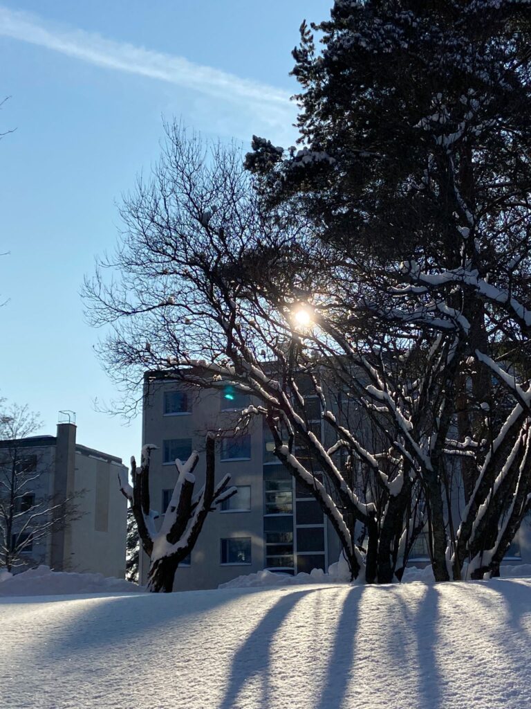 Aurinko paistaa pilvettömältä taivaalta. Massa on lunta. Taustalla kerrostalo ja lumisia puita.