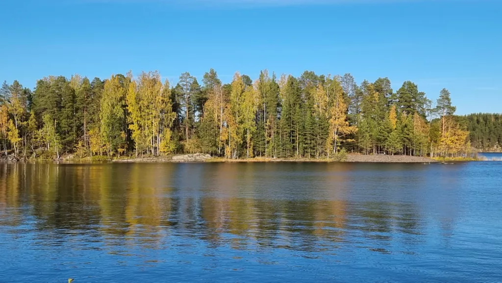 Etualalla Saimaa. Hieman kauempana saari, jossa on puita. Puissa on värikkäitä lehtiä.