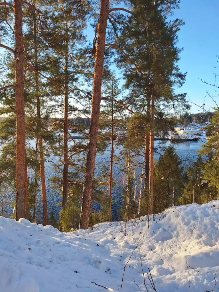 Puiden takana näkyy Laitaatsalmi ja Laitaatsalmen telakka.