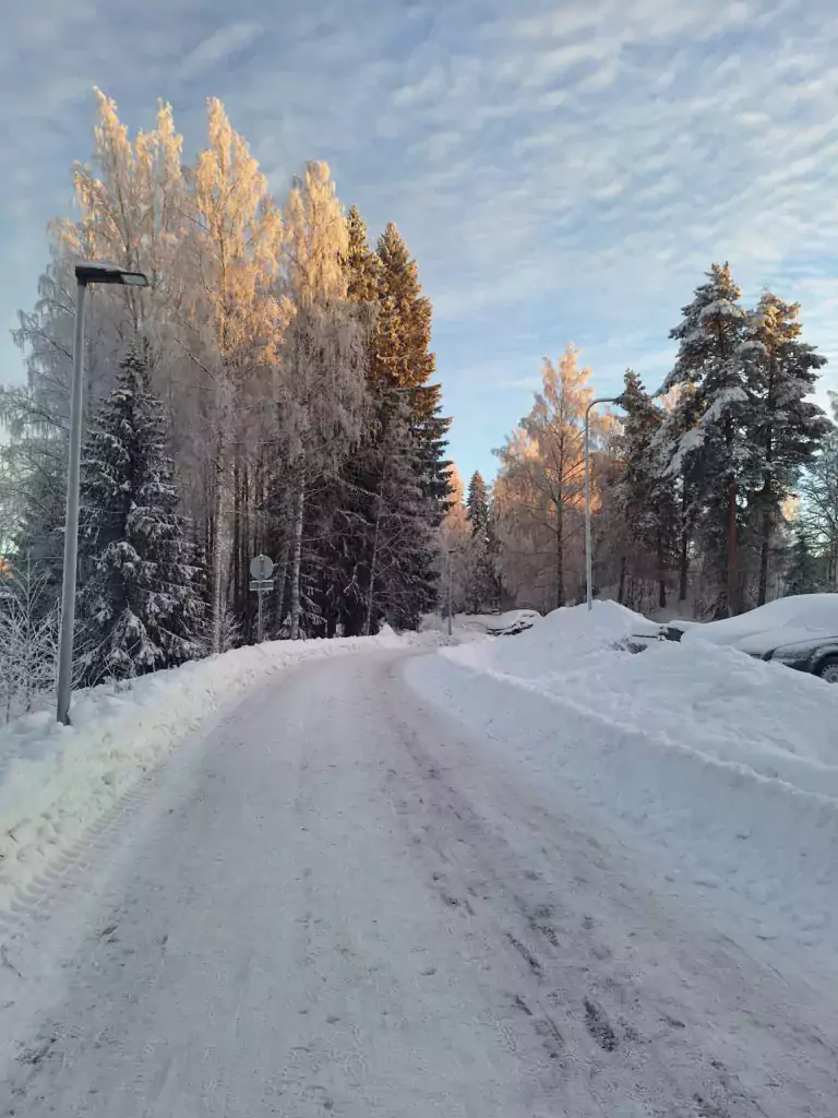 Luminen tie. Tien päässä huurteisia puita. Taivaalla pilviharsoa.