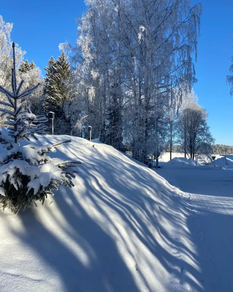 Puut tekevät upeita varjoja lumihankeen.