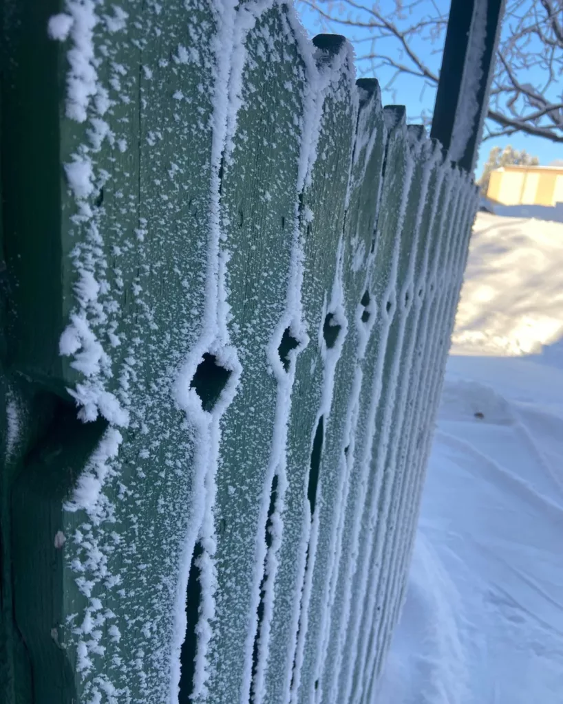 Taloyhtiön jätekatoksen seinässä on huurteinen pinta.