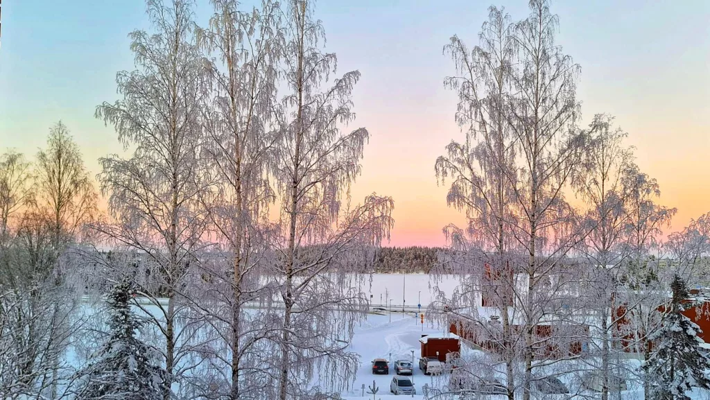 Huurteisen puut ja niiden takana näkyy värikäs taivas.