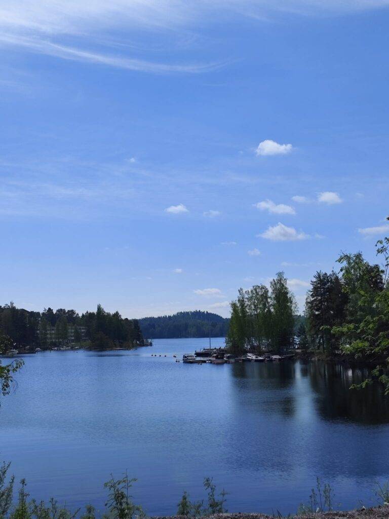 Saimaa. Rannoilla puita ja veneitä.