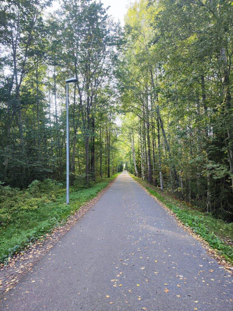 Kevyen liikenteen väylä kulkee metsän läpi.