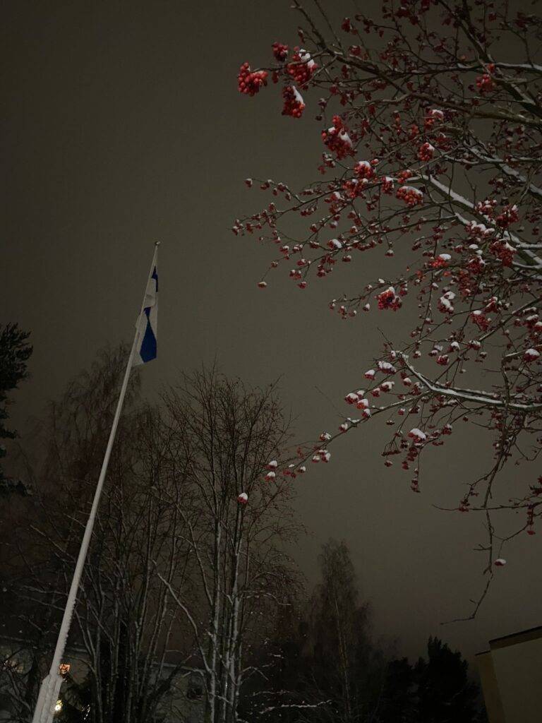 Suomen lippu tangossa. 